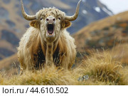 Majestic highland cow in natural habitat. Стоковое AI-изображение, AI-художник Иван Рябоконь / Фотобанк Лори