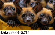 Group of Spectacled flying foxes closeup. Стоковое AI-изображение, AI-художник Veniamin Kraskov / Фотобанк Лори