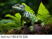Striped Toloque in the wild. Стоковое AI-изображение, AI-художник Veniamin Kraskov / Фотобанк Лори
