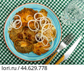 Pickled russula delica with onions. Стоковое фото, фотограф Яков Филимонов / Фотобанк Лори