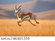Graceful gazelle sprinting across golden savanna. Стоковое AI-изображение, AI-художник Иван Рябоконь / Фотобанк Лори