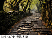 Unspoiled Stone road forest way. Generate Ai. Стоковое AI-изображение, AI-художник Иван Рябоконь / Фотобанк Лори