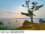Дерево желаний на мысе Бурхан острова Ольхон на Байкале. Стоковое фото, фотограф Александр Тараканов / Фотобанк Лори