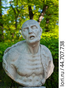 Сенека - римский философ. Бюст в Летнем саду. Санкт-Петербург (2008 год). Стоковое фото, фотограф Александр Щепин / Фотобанк Лори