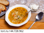 Popular dish of Russian cuisine is pickle soup with meat, cooked on basis of pickled cucumbers and pearl barley or rice, decorated with sprig of parsley. Стоковое фото, фотограф Яков Филимонов / Фотобанк Лори