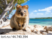 Cute Quokka in the wild. Стоковое AI-изображение, AI-художник Veniamin Kraskov / Фотобанк Лори
