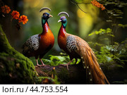 Lover couple of pheasants in the wild. Стоковое AI-изображение, AI-художник Veniamin Kraskov / Фотобанк Лори