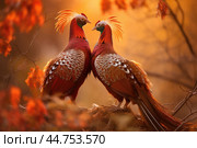 Lover couple of pheasants in the wild. Стоковое AI-изображение, AI-художник Veniamin Kraskov / Фотобанк Лори