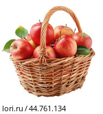 Wicker basket overflowing with freshly picked red apples. Стоковое AI-изображение, AI-художник Иван Рябоконь / Фотобанк Лори