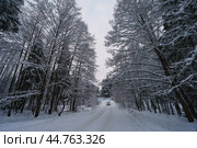 Photography of the beauty of nature within winter in Russia. Country road is covered by snow. Стоковое фото, фотограф YuryKara / Фотобанк Лори