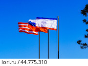 Флаги России, Крыма и города Керчь на горе Митридат. Керчь. Крым. Стоковое фото, фотограф Владимир Шибаев / Фотобанк Лори