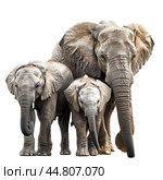 Elephant family posing with mother protecting her calves. Стоковое AI-изображение, AI-художник Иван Рябоконь / Фотобанк Лори