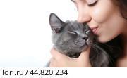Young beautiful smiling brunette woman holds your tabby cat in her hands isolated on a white background. Good friends. Friendship of a pet and its owner girl. Cuddles. Copy space for text banner. Стоковое AI-изображение, AI-художник Марина Демидюк / Фотобанк Лори