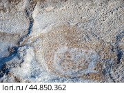 Соляные кристаллы на поверхности озера Баскунчак, Астраханская область (2024 год). Редакционное фото, фотограф Анна Карасева / Фотобанк Лори