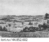 Savannas of Equatorial Africa, illustration from The People's Encyclopedia, Moscow. Russia, 1911. Стоковое фото, фотограф Константин Тимофеев / Фотобанк Лори