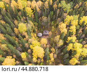 Часовня и беседка в густом лесу. Стоковое фото, фотограф Яковлев Сергей / Фотобанк Лори