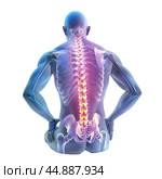 3d rendered medically accurate illustration of a man having back pain. Стоковое AI-изображение, AI-художник Иван Рябоконь / Фотобанк Лори