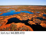 Золотая осень, тайга, лесотундра, болотистая местность. Западная Сибирь, Тюменская область, Ханты-Мансийский АО. Стоковое фото, фотограф Павел Просянов / Фотобанк Лори