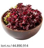 Fresh red oakleaf lettuce leaves in wooden bowl. Стоковое AI-изображение, AI-художник Иван Рябоконь / Фотобанк Лори