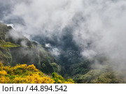 Aerial drone view of Curral das Freiras village, Madeira, Portugal (2024 год). Стоковое фото, фотограф Дмитрий Рухленко / Фотобанк Лори