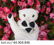 White toy kitten on the pink flowers background. Стоковое фото, фотограф YuryKara / Фотобанк Лори