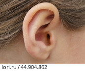 Photograph of a child’s ear. Стоковое фото, фотограф YuryKara / Фотобанк Лори