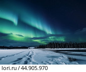 Nothern lights winter landscape. New Year concept. Стоковое AI-изображение, AI-художник Ксения Лаптева / Фотобанк Лори