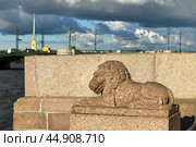 Stone old lion on Makarov Embankment of Malaya Neva River. St. Petersburg, Russia (2024 год). Стоковое фото, фотограф Валерия Попова / Фотобанк Лори
