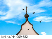 Деревянный русский луковичный купол с крестом под ясным облачным небом, вокруг которого летают голуби. Стоковое фото, фотограф Дмитрий Мельников / Фотобанк Лори