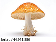 Mushroom Amanita on white background. Стоковое AI-изображение, AI-художник Veniamin Kraskov / Фотобанк Лори