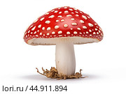 Mushroom Amanita on white background. Стоковое AI-изображение, AI-художник Veniamin Kraskov / Фотобанк Лори