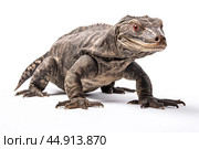 Giant Indonesian varanus (Varanus komodoensis) on white background. Стоковое AI-изображение, AI-художник Veniamin Kraskov / Фотобанк Лори