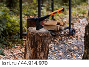 An axe will be stuck into a wooden log. Harvesting firewood for the winter season. Logging on the background of the forest. Lumber, wood-cutting tools. Стоковое фото, фотограф Photojuli / Фотобанк Лори