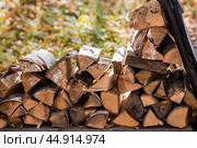 An eco-friendly, stylish area. Harvesting firewood for the winter. Birch firewood neatly stacked in a woodcutter. Стоковое фото, фотограф Photojuli / Фотобанк Лори