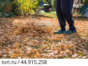 A bunch of autumn leaves and a woman is doing a general cleaning in the garden. In autumn, people clean the lawn of dry leaves. Gardening. Garden cleaning. Стоковое фото, фотограф Photojuli / Фотобанк Лори