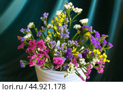Bouquet of multicolored flowers in a vase (Limonium sinuatum, Statice sinuata) on a green background. Стоковое фото, фотограф Ирина Вершинская / Фотобанк Лори