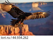 A California Condor soaring against the backdrop of the scenic, rugged cliffs of the Grand Canyon. Стоковое AI-изображение, AI-художник Veniamin Kraskov / Фотобанк Лори