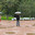 Heavy rain in Alexander Garden in center of St. Petersburg, Russia (2024 год). Редакционное фото, фотограф Валерия Попова / Фотобанк Лори