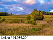 Осенний пейзаж с полем и лесом. Редакционное фото, фотограф Сергей Иванов / Фотобанк Лори
