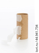 Empty toilet paper on white background. Стоковое фото, фотограф Сергей Толмачёв / Фотобанк Лори