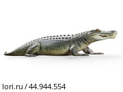 A gharial, a long-snouted crocodile with a narrow muzzle on white background. Стоковое AI-изображение, AI-художник Veniamin Kraskov / Фотобанк Лори