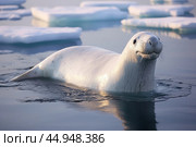 A narwhal swimming gracefully in its natural Arctic habitat. Стоковое AI-изображение, AI-художник Veniamin Kraskov / Фотобанк Лори