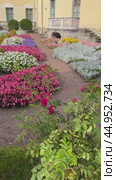 PAVLOVSK, SAINT PETERSBURG, RUSSIA- September 14, 2024: Vertical video of beautiful garden with colorful flowers near Pavlovsk Palace - summer residence of Emperor Paul I on sunny day. Редакционное видео, видеограф Виктория Катьянова / Фотобанк Лори