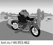 Жаба байкер чб / toad biker bw. Стоковая иллюстрация, иллюстратор Александр Паньков / Фотобанк Лори