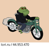 Жаба с мотоциклом / toad with bike. Стоковая иллюстрация, иллюстратор Александр Паньков / Фотобанк Лори