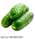 Three fresh green cucumbers isolated on white background. Стоковое AI-изображение, AI-художник Иван Рябоконь / Фотобанк Лори