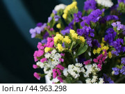 Bouquet of multicolored flowers in a vase (Limonium sinuatum, Statice sinuata) on a green background. Стоковое фото, фотограф Ирина Вершинская / Фотобанк Лори