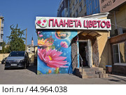 Мурал на стене магазина "Планета цветов" Редакционное фото, фотограф Лариса Вишневская / Фотобанк Лори