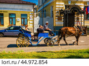 Туристов катают на карете с лошадью (2024 год). Редакционное фото, фотограф Илья Старков / Фотобанк Лори