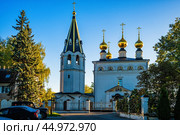 Собор Феодоровской иконы Божией Матери (Городец) Редакционное фото, фотограф Илья Старков / Фотобанк Лори